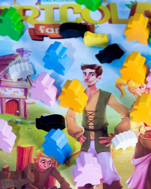 Test et avis illustré de AGRICOLA FAMILLE boîte